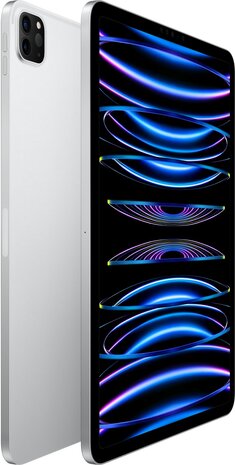 Apple iPad Pro 256GB 11 inch (model 2022) zilver Wifi (4G)